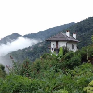 B&B La Locanda del Cinghiale - Aurano - 7