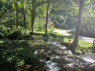 Apartmani i sobe "Vodenica" Janjske Otoke - 1