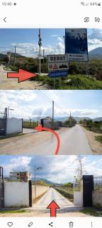 Olive Oasis Studio - 9