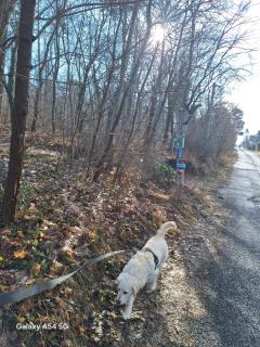 Znojmo centrum - Znojmo - 8