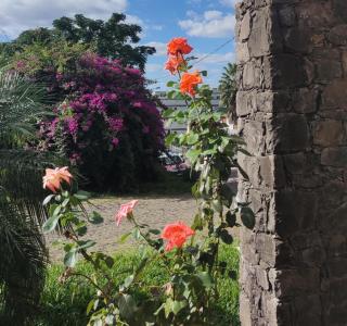 Premium house with pool - 9