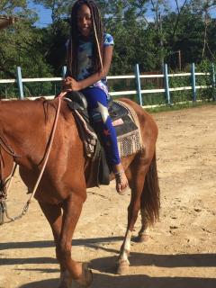 Coconut tree Oasis - 4