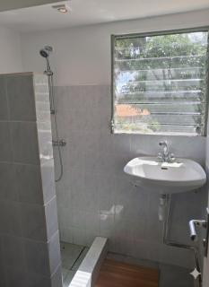 Studio Anthurium - 1