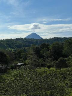 Cabaña 3 venado - 2