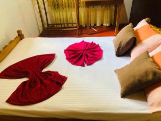 Sinharaja Pitadeniya Villa - 9