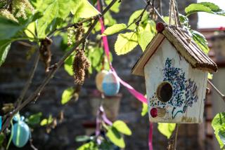 Country House Araba Phoenix - Castellabate - 0