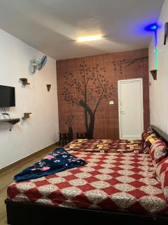 Friendly stay - 3