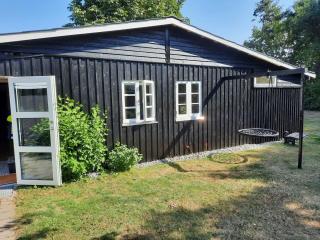 Nature Peace And Coziness Near Forest And Beach - 8