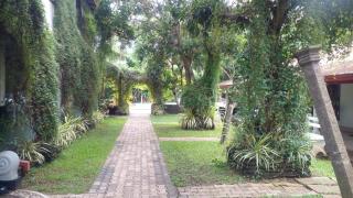 MR Tourist Hotel - 8