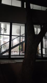 Modern home at Oaks Hill Country Club - 7