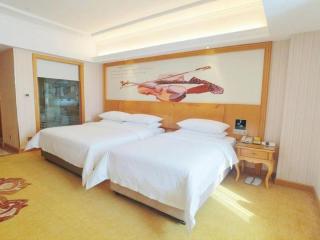 Vienna Hotel Henan Luoyang Jiudu Road Wanda - 2