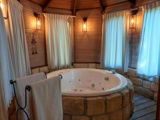 אוויר ואווירה - בקתות מקסימות עם ג'קוזי פרטי ונוף ישיר לכנרת - 9