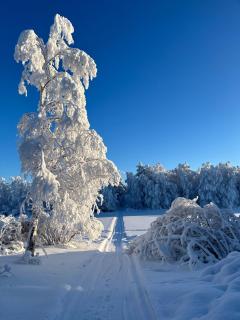 Kirkkoväärtin tyylikäs huoneisto 1-4 hlö, oma keittiö, kylppäri ja helppo self check-in, Pudasjärvi - 9