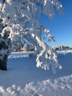 Kirkkoväärtin tyylikäs huoneisto 1-4 hlö, oma keittiö, kylppäri ja helppo self check-in, Pudasjärvi - 8