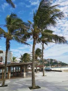 Shenzhen Dameishawan Youtinghui Hotel - 2