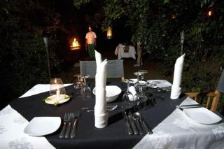 Explorer by Eco Team - Dambana - 9