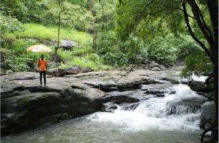 Gaudham Periyar Farms - 9