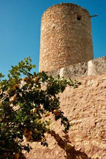 La Molina Mallorca - 9