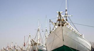 Tematik Hotel Pluit - 4