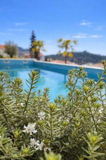 Olive apartments - 2