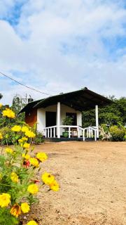 Forest calm stay - 1