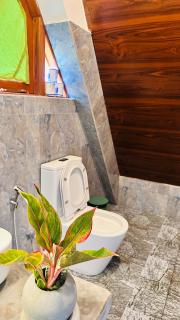 Thesrilankaman village - 8