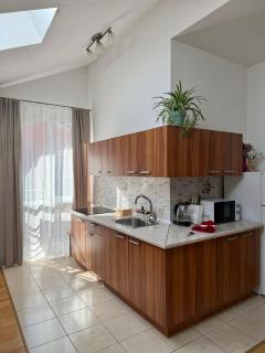 Penthouse by the park - 7