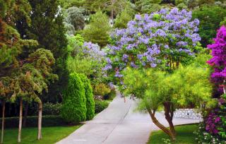 Loryma Resort Hotel - 8