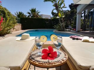 YourHouse Estrelitzia - 9