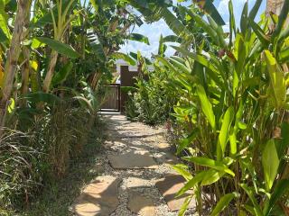 Tangawizi Villa con piscina - 5