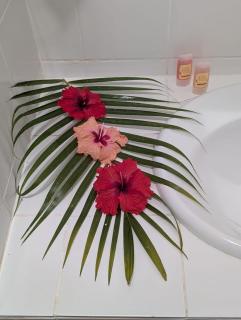 Domaine de la Matourienne - 5