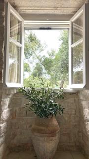 Loukas house Paxos - 1