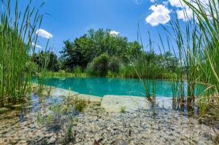 Aqua Bio Retreat by Great Stays - 4