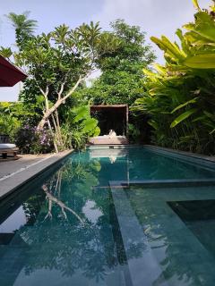 Pigstone Design Studios Beachfront - 9