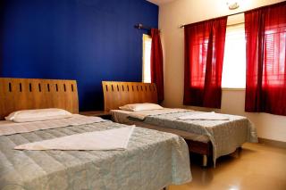 Ace Friends Park - 3