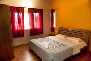 Ace Friends Park - 4