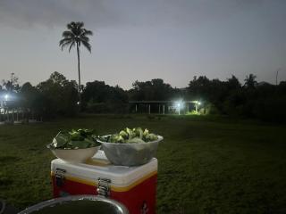 Similan Mondo Resort & Camping - 4