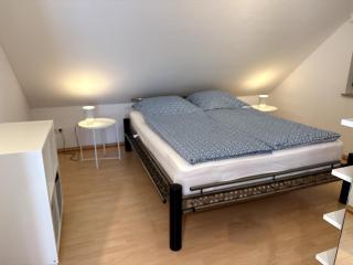 Seewiefken 2 Dümmerblick - 6