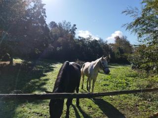 Natura Tiny House Porto - 6