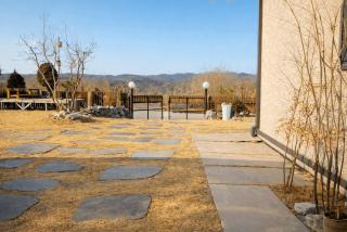 Yeoncheon Jjongi and Mary Newly Built First Branch Pet Pension - 6