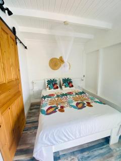 Papaye et coconut - 3