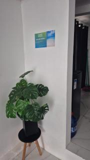 Casa Nova e Completa - 1