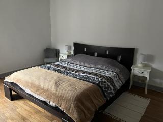 Appartement spacieux cosy centre Epinal !!! - 6