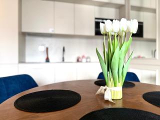 Lubicka 19 z parkingiem by Rentoom - Toruń - 1