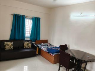 Punawale tathwade 1bhk - 8