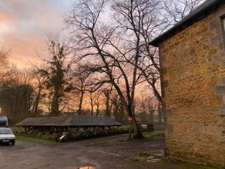 La guinguette du lavoir - Chambre d'hôte verte - 3