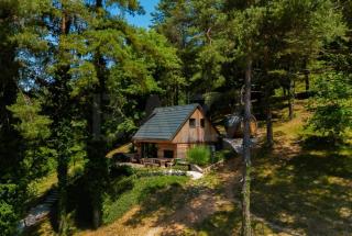 Secluded Romantic Cabin · Hot Tub & Barrel Sauna - 9