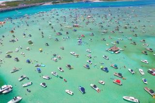 Magnolia View* 0.7 miles to the beach monthly disc - 4