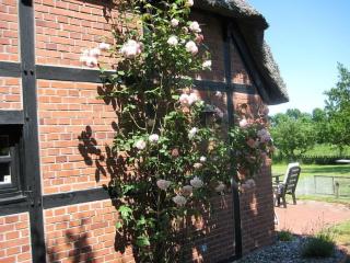 Ferienhaus von der Ahe - 1