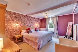 Tyddyn Llan Restaurant with Rooms - 5